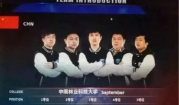 最新新闻大爆料,最新新闻大爆料，震惊业界内幕曝光！