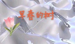 早春在线观看,在线观看，感受春天的温暖与希望